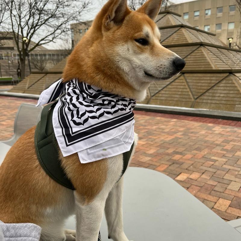 Palestinian Kufiya Bandana