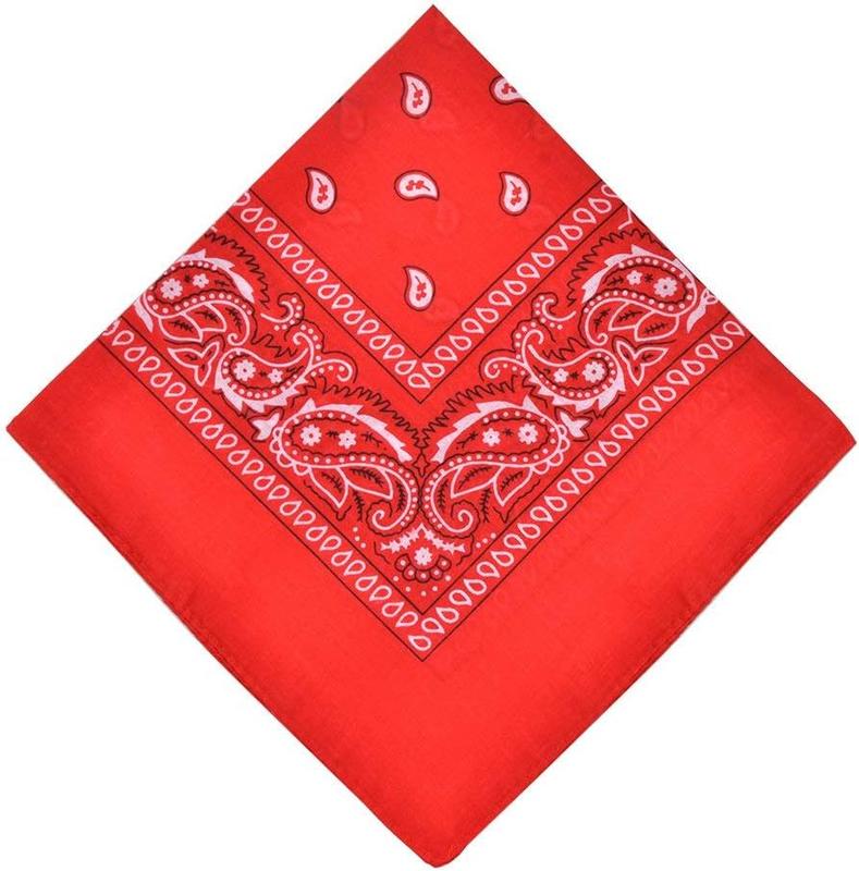 Novelty Paisley Large Bandanas 12 Pack  Cotton Cowboy Bandana for Men