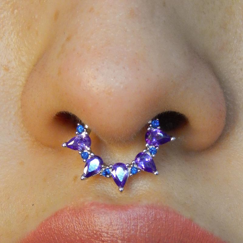 Oufer 16G Gorgeous Purple CZ Hinged Segment Septum Ring